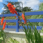 Clôture alu "Classic" SIB